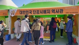 홍태용 김해시장 김해진영단축제축제 국민애도 속 차분한 마무리