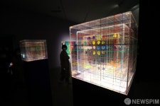 백남준 효과 기획전