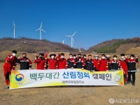 태백국유림관리소, 하사미동 산림정화 활동 전개