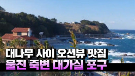 [영상] 왜구를 향해 날아가던 울진 죽변 대가실 포구 실렁이는 전죽(箭竹) 소리