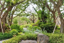 롯데건설, 대구 ′남산 롯데캐슬 센트럴스카이′ 조경 대상 수상