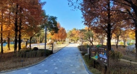 청주 비전근린공원 등 6곳 재정비 완료…복합공간 탈바꿈