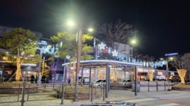 충주 시내 테마화단·대학로 주변에 경관조명 설치