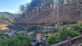 양양군 송이밸리자연휴양림 무장애나눔길 완공