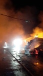 [속보] 포항 강풍 속 버섯농장 화재....대응1단계 진화 중