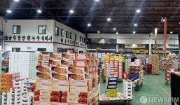 설 명절 앞둔 광주 농산물도매시장