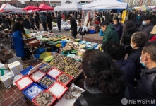 북적북적 모란시장