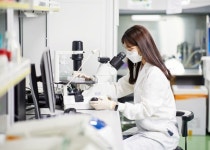 대구 K메디허브, 김치 유산균 골다공증 개선 물질 확인