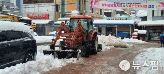 최대 30cm 10년만의 폭설...울진군, 읍·면 전통시장 제설작업 집중한 까닭