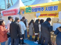 강진청자축제 하멜촌맥주 시음회 인기...1138명 참여