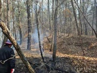 충남 부여군 충화면서 산불...헬기 동원 진화 중