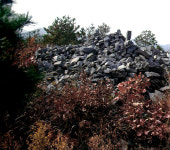 삼척국유림, 동해 어달산 봉수대 산불 피해지 복구