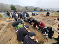 전주 발달장애인 야외활동 지원…대성·장동 치유농장 2곳 운영