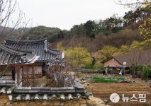 [포토에세이] 띠띠미마을 산수유 고샅길 걷기만해도...밀려오는 봄향과 고요