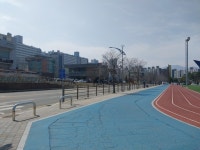 속초시, 엑스포 잔디광장 트랙 정비...5월 준공