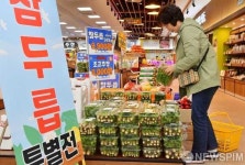 장성로컬푸드직매장, 제철 참두릅 특별전