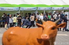 시민들 붐비는 대한민국 축산대전