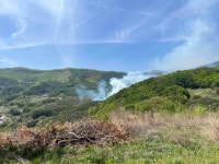 영월 김삿갓면 예밀리 야산서 산불…헬기 7대 동원 진화 중