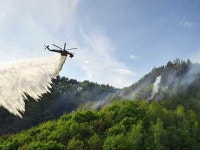 정선 화암면 산불 진화율 50%…헬기 7대 투입 진화 중