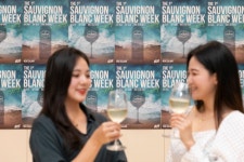 양양 해변에서 펼친 뉴질랜드  쇼비뇽 블랑 데이...21일까지 계속