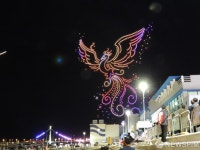 고흥 밤바다에 불새연출