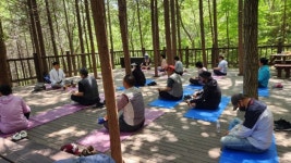 고흥군 팔영산 편백치유 숲길 걸으며 마음 산책 하세요