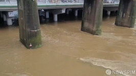 광주시 시간당 51.7㎜ 집중호우