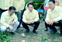 김영록 전남지사, 집중호우 낙과 피해현장 방문