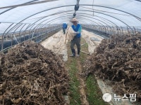 [현장+] 민주 의원 100여명,  부여 수해 봉사 총출동...비닐하우스서 구슬땀