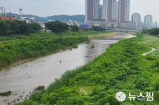 [기획] 고양 창릉천, 통합하천 정비… 깨끗·안전한 하천 대변신