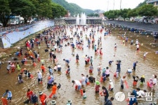 단양 매포 매화골 축제 5~6일 개최... 피서객 유혹