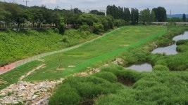 진천 파크골프장 내달 개장…노년체육 활성화 기대