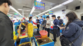 부산시 수입 수산물 원산지표시 2차 특별점검 실시…1691곳 대상