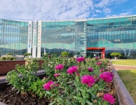 함양군, 산삼축제 맞아 가을 꽃단장…이스타 국화 1000주