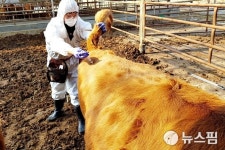 동물의료·공중보건 전문가 수의사 국가인재 등록