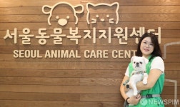 서울시, 유기견 새 주인 찾아 멍멍! [뉴스핌 줌인]