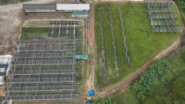 [르포] 비닐하우스 위 태양광 전력소...작물도 농가수익도 쑥쑥