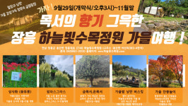 장흥 하늘빛수목정원서 가을밤 낭만 버스킹 개최
