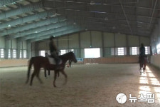 제1회 완주군수배 승마대회 공공승마장서 7~9일 개최