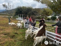 남원시 세계드론제전 연계 농촌관광 호응