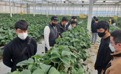 전북도 청년농 스마트팜 창업 62억원 지원…이달말 까지 신청
