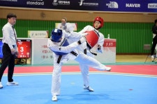 장흥군서 전국체전 태권도 남녀 체급별 경기 열려