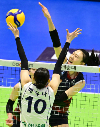 [프로배구] 우리카드, 대한항공 잡고 선두 질주... 현대건설 6연승 행진