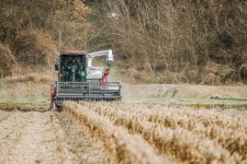 경북도 농업대전환 첫 결실...문경 혁신농업타운 첫 소득배당