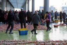[르포] 2023년 아듀...울진 죽변항 사람들은