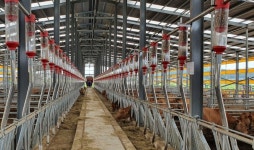 전남도, 가축재해보험 지원금 100억원 확정...선착순 지원