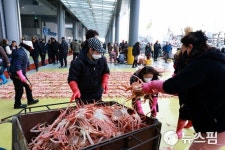[포토에세이] 달달·쫄깃·부드러운 감칠맛 울진대게...주머니에 담을 수도 없고