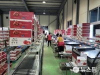 진안군 농산물 산지유통센터 지난해 매출액 210억원 달성