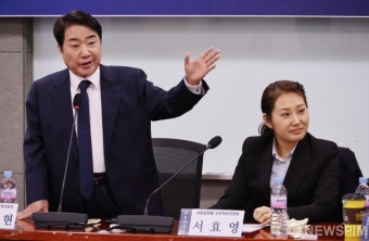 이석현 새로운미래 당헌제정위원회 공동위원장, 당헌제정 방향 발표