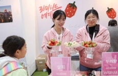 신기한 하얀 딸기 설희를 아시나요!
